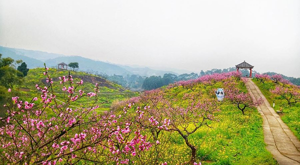 桃花源景区