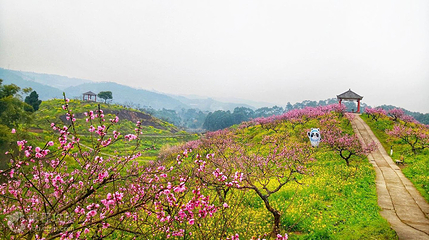 桃花源景区第 2 张图片