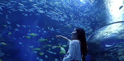 广元卡尔城海昌海洋探索馆