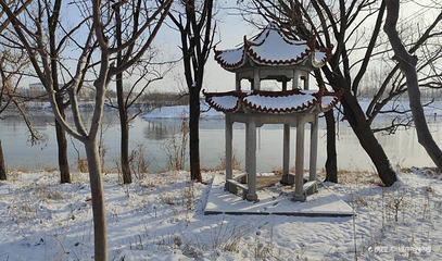 商河大沙河湿地公园第 1 张图片