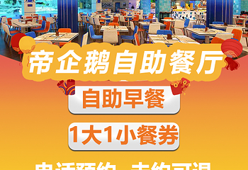 珠海长隆企鹅酒店•帝企鹅自助餐厅•儿童岛•真企鹅第 27 张图片