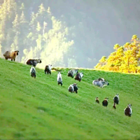 唐家河自然风景区