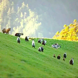 唐家河自然风景区