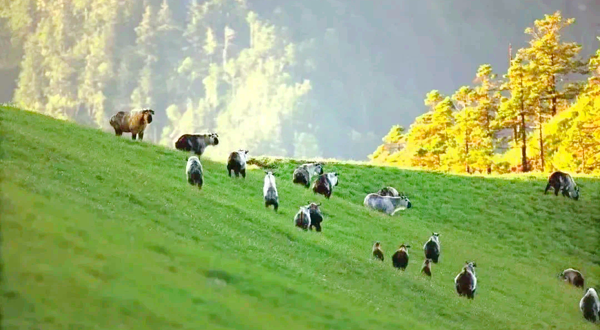 唐家河自然风景区