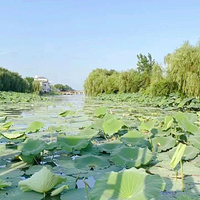 湖北潜江返湾湖国家湿地公园