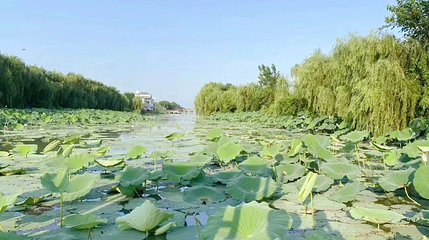 湖北潜江返湾湖国家湿地公园第 1 张图片