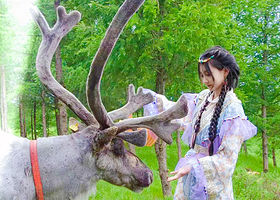 乌兰布统达瓦鄂温克驯鹿部落