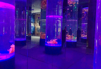 镜湖湿地海洋世界第 1 张图片