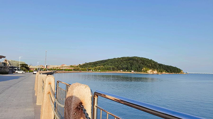 烟墩角天鹅湖摄影基地第 1 张图片