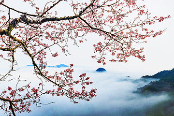 萍乡武功山风景区第 115 张图片