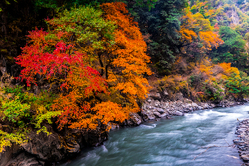 米亚罗风景区第 4 张图片