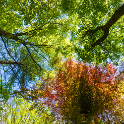 相山国家森林公园