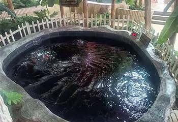 北方巴厘岛水上乐园第 11 张图片