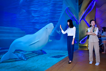 三亚亚特兰蒂斯失落的空间水族馆第 82 张图片