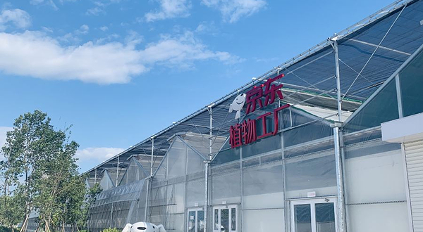 京东植物工厂