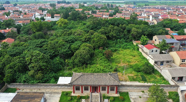 北洞山西汉楚王陵