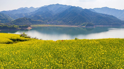 沃洲湖风景区第 1 张图片
