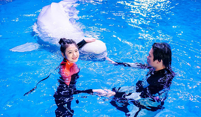 海合安武汉极地海洋公园第 280 张图片