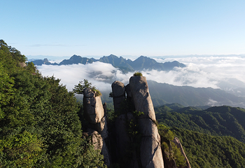 湖北大老岭国家级自然保护区第 7 张图片