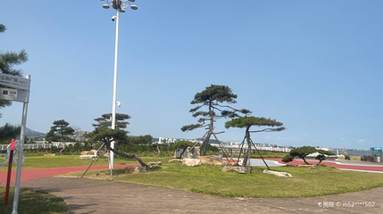 阳光海岸梦幻海滩第 1 张图片