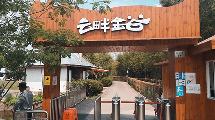 云畔金谷第 1 张图片