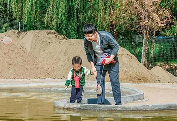 小葵花开心农场第 4 张图片