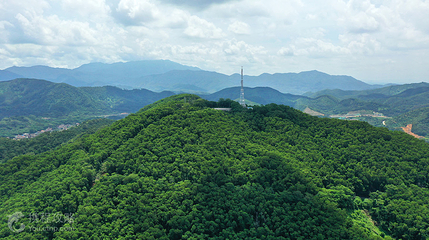 蕉石岭森林公园第 4 张图片
