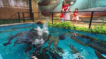 芭堤雅怪物水族馆