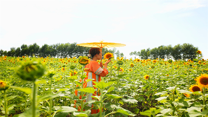 印象太安花海田缘休闲度假村第 4 张图片