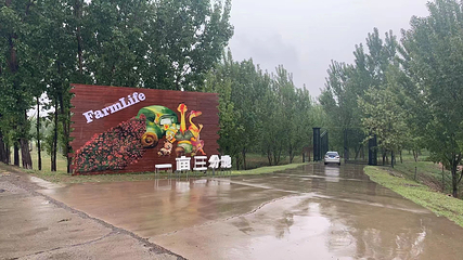 朝阳农场·度林间·城市营地第 32 张图片