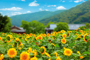 禅意小镇·拈花湾第 131 张图片