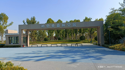 中央森林公园第 2 张图片
