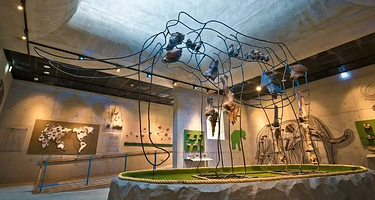 台南左镇化石园区