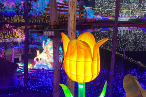 眉山·彩灯光影大世界