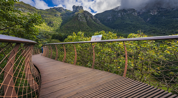 康斯坦博西植物园