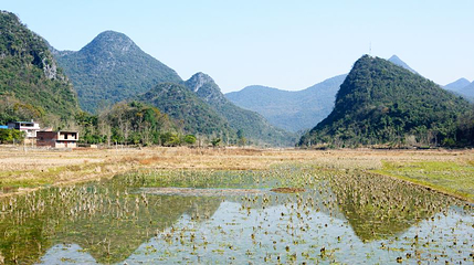 河野风景名胜区第 1 张图片