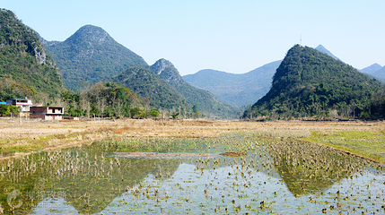 河野风景名胜区第 2 张图片