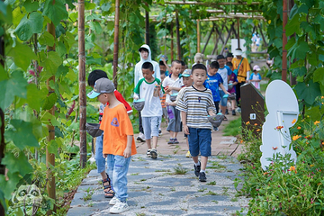 东部新区种子乐园第 28 张图片