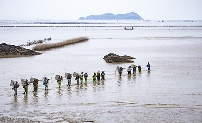 趣赶海旅游度假区第 8 张图片