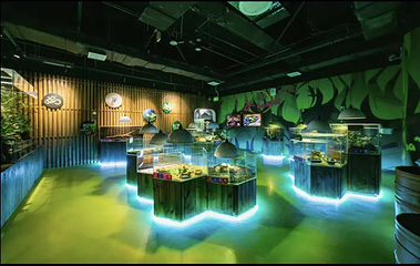 七巧国萌宠乐园(龙湖天街店)第 1 张图片