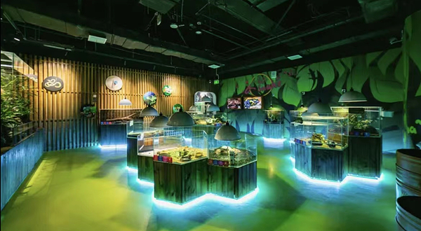 七巧国萌宠乐园(龙湖天街店)