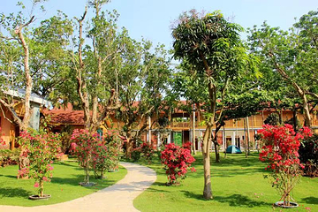 南丽湖醉花岛湿地文化旅游区第 6 张图片