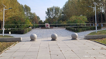 哈尔滨天池丁香公园