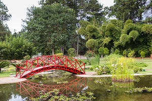 巴西利亚植物园