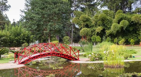 巴西利亚植物园