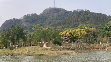 玉林湿地公园第 3 张图片