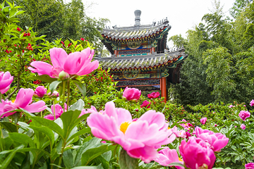 红螺寺第 5 张图片