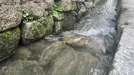 水圳第 2 张图片