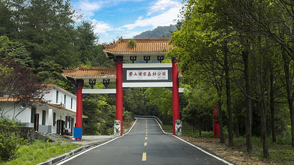 莽山旅游区国家森林公园第 10 张图片