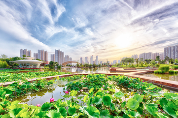 西安植物园新区第 1 张图片